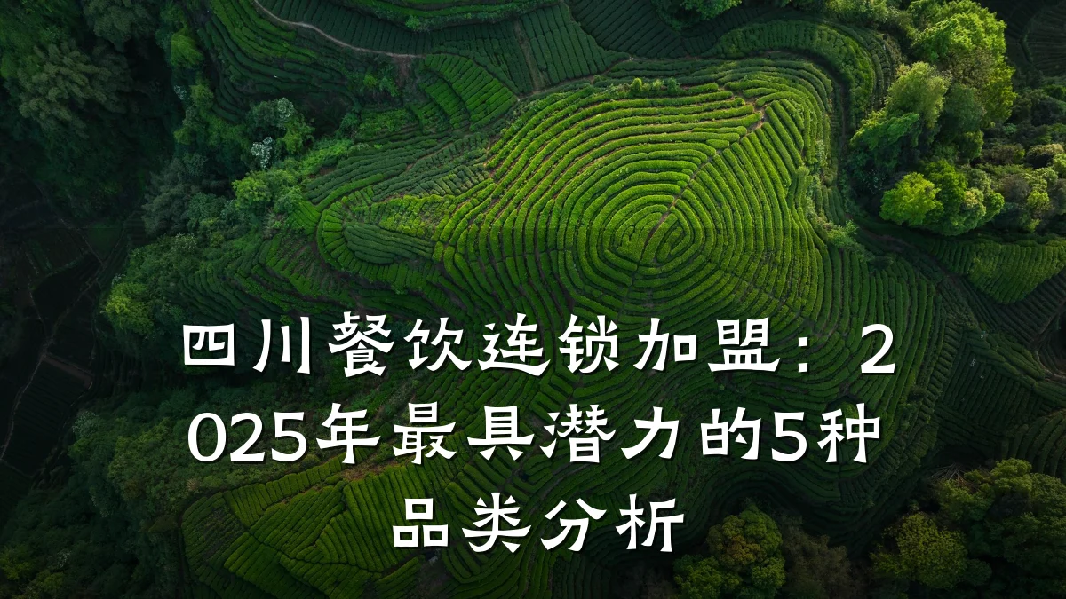 四川餐饮连锁加盟：2025年最具潜力的5种品类分析
