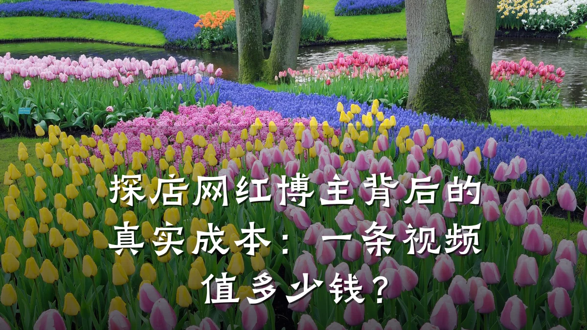 探店网红博主背后的真实成本:一条视频值多少钱?