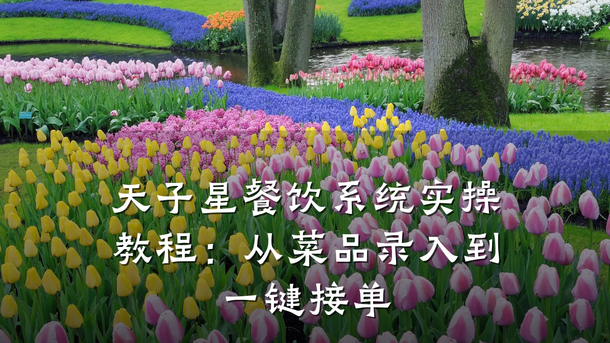 天子星餐饮系统实操教程:从菜品录入到一键接单