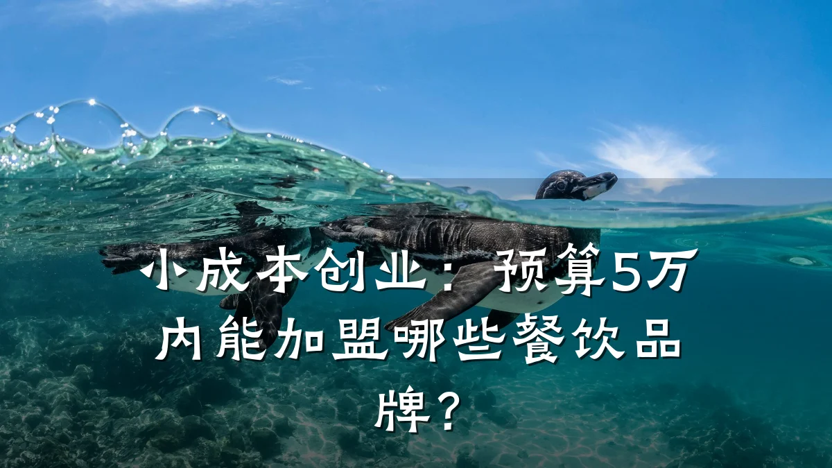 小成本创业：预算5万内能加盟哪些餐饮品牌？