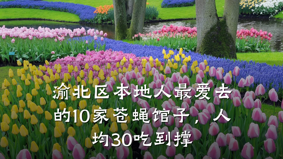 渝北区本地人最爱去的10家苍蝇馆子，人均30吃到撑