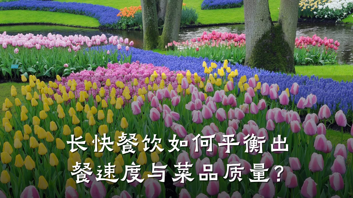 长快餐饮如何平衡出餐速度与菜品质量？