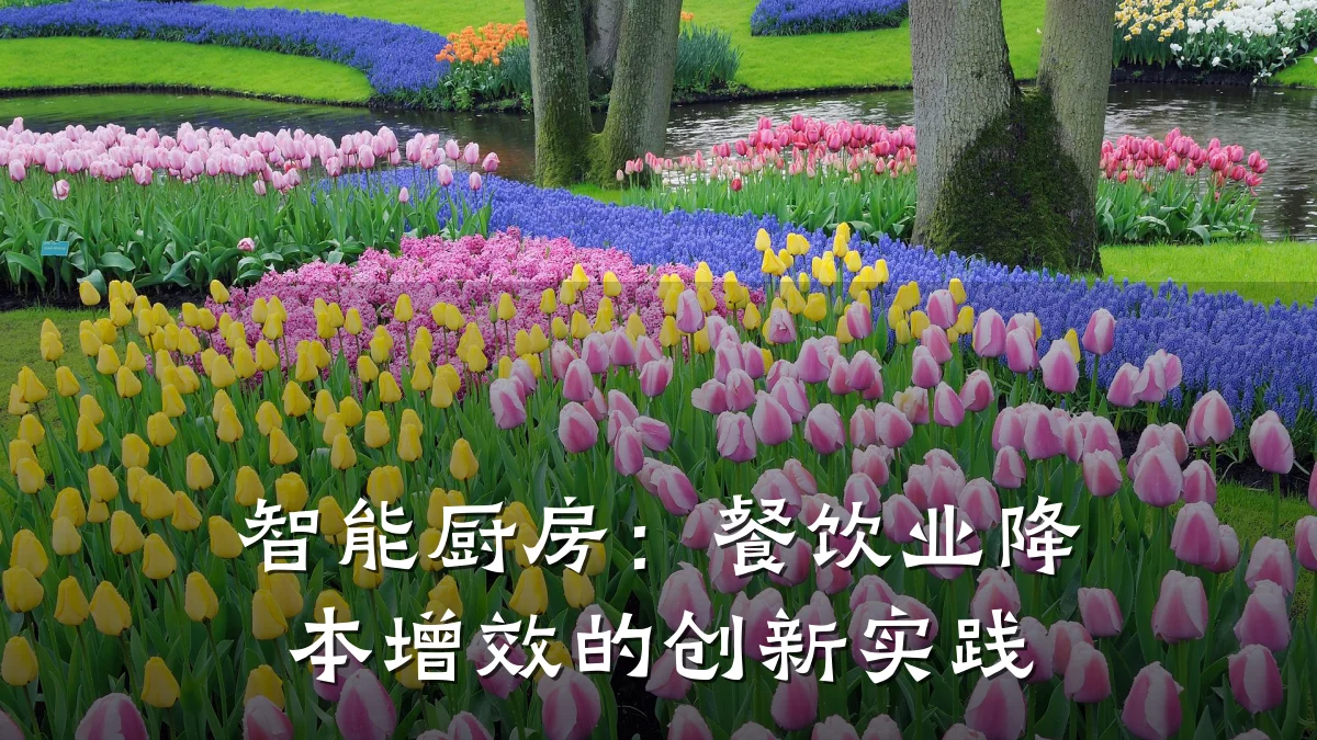 智能厨房：餐饮业降本增效的创新实践