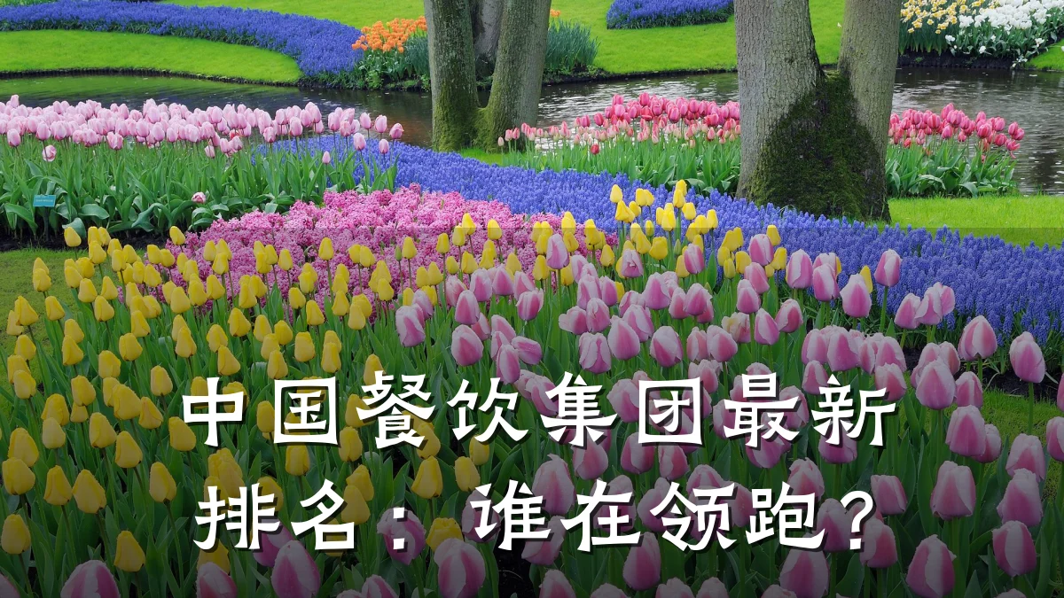 中国餐饮集团最新排名：谁在领跑？