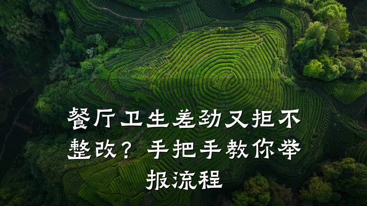 餐厅卫生差劲又拒不整改？手把手教你举报流程