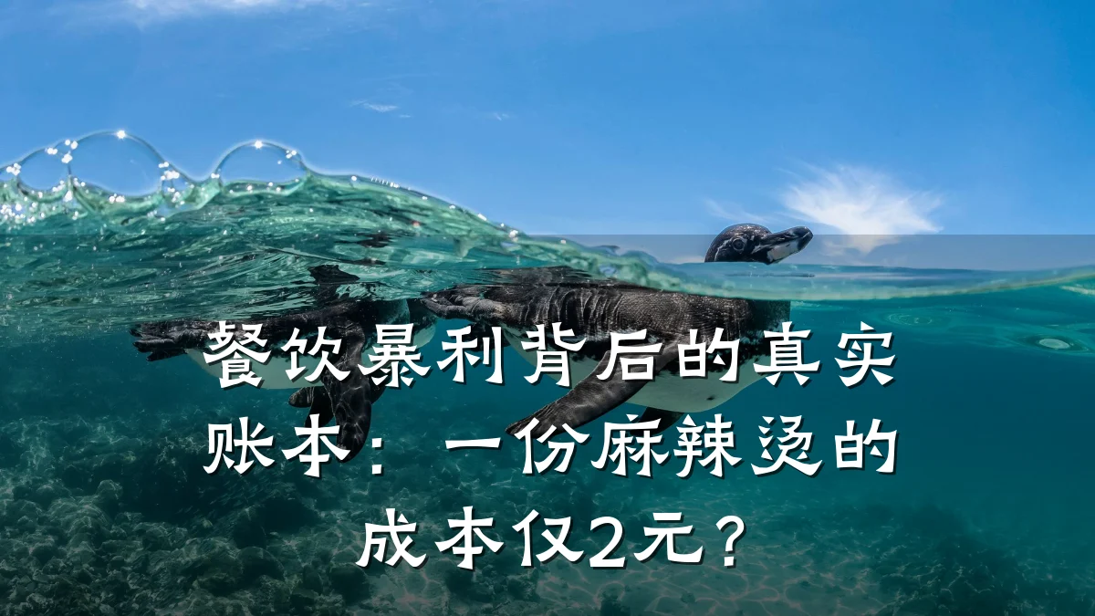 餐饮暴利背后的真实账本：一份麻辣烫的成本仅2元？