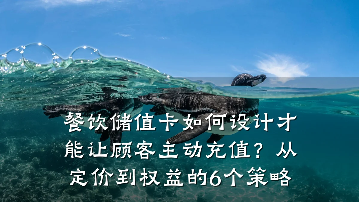 餐饮储值卡如何设计才能让顾客主动充值?从定价到权益的6个策略