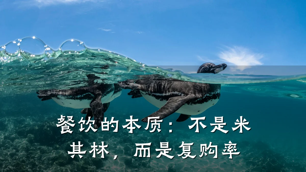 餐饮的本质：不是米其林，而是复购率