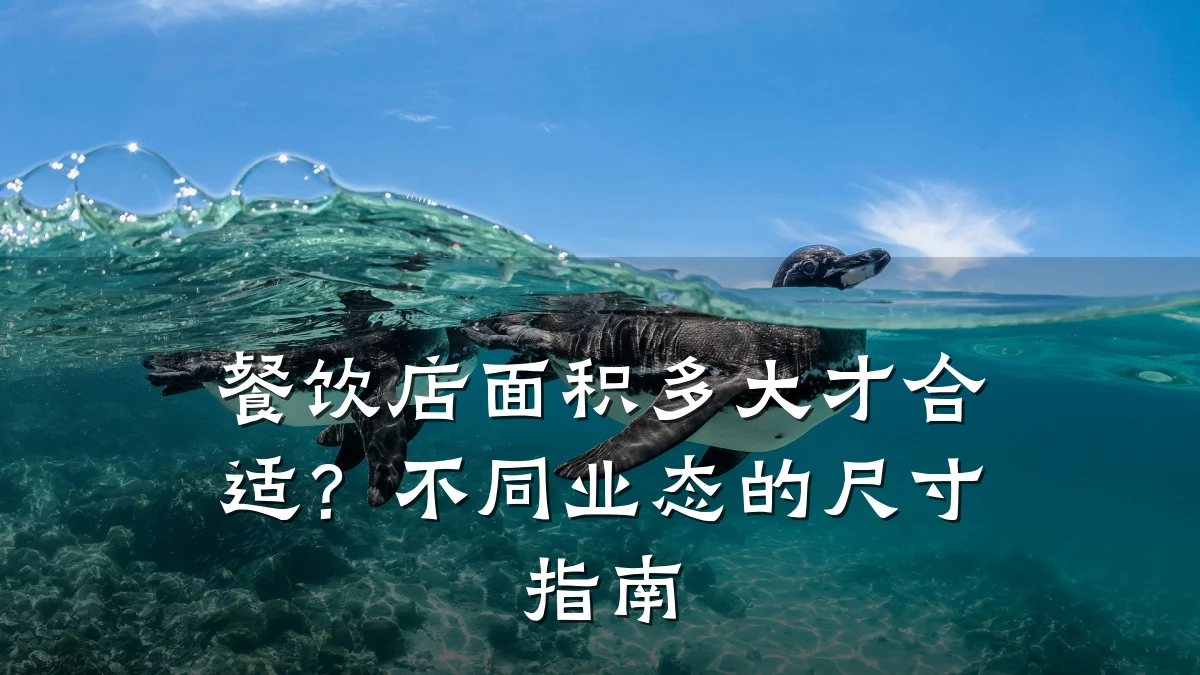 餐饮店面积多大才合适？不同业态的尺寸指南