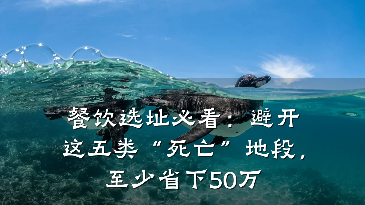 餐饮选址必看：避开这五类“死亡”地段，至少省下50万