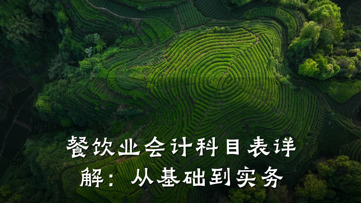 餐饮业会计科目表详解：从基础到实务