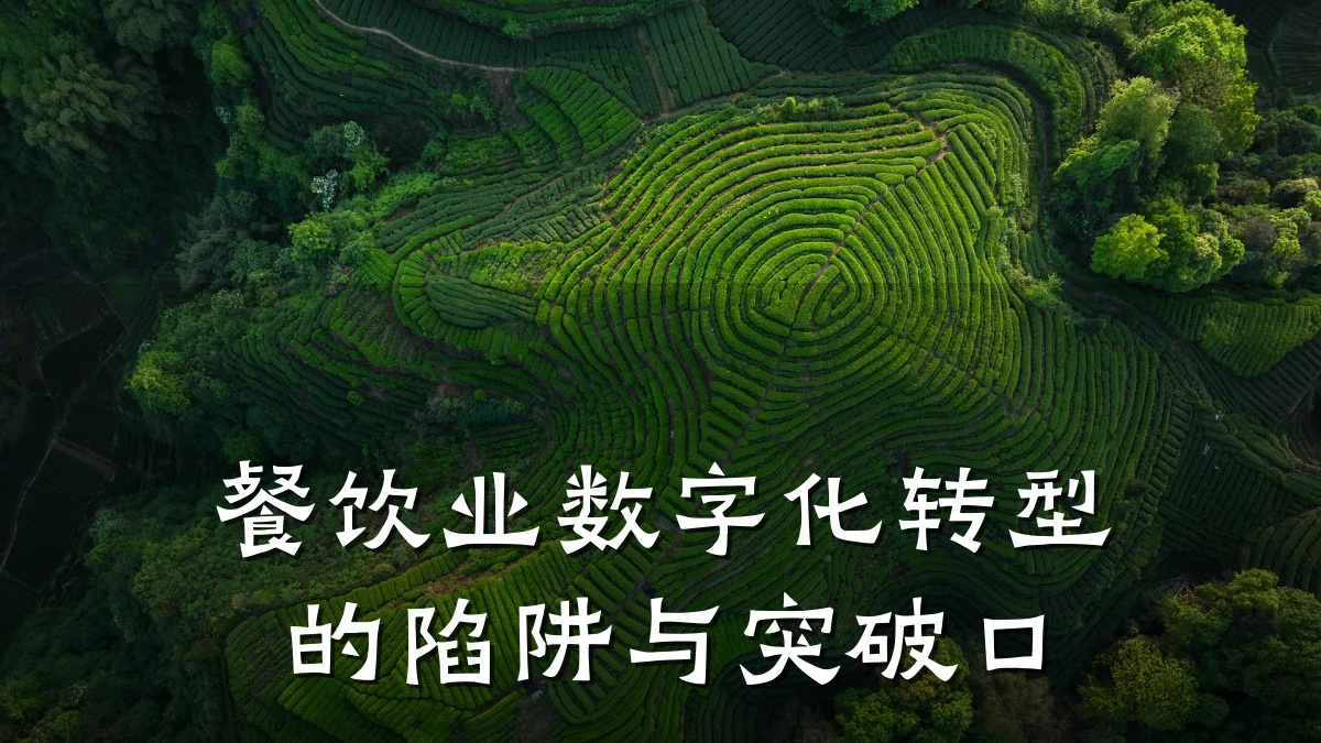 餐饮业数字化转型的陷阱与突破口