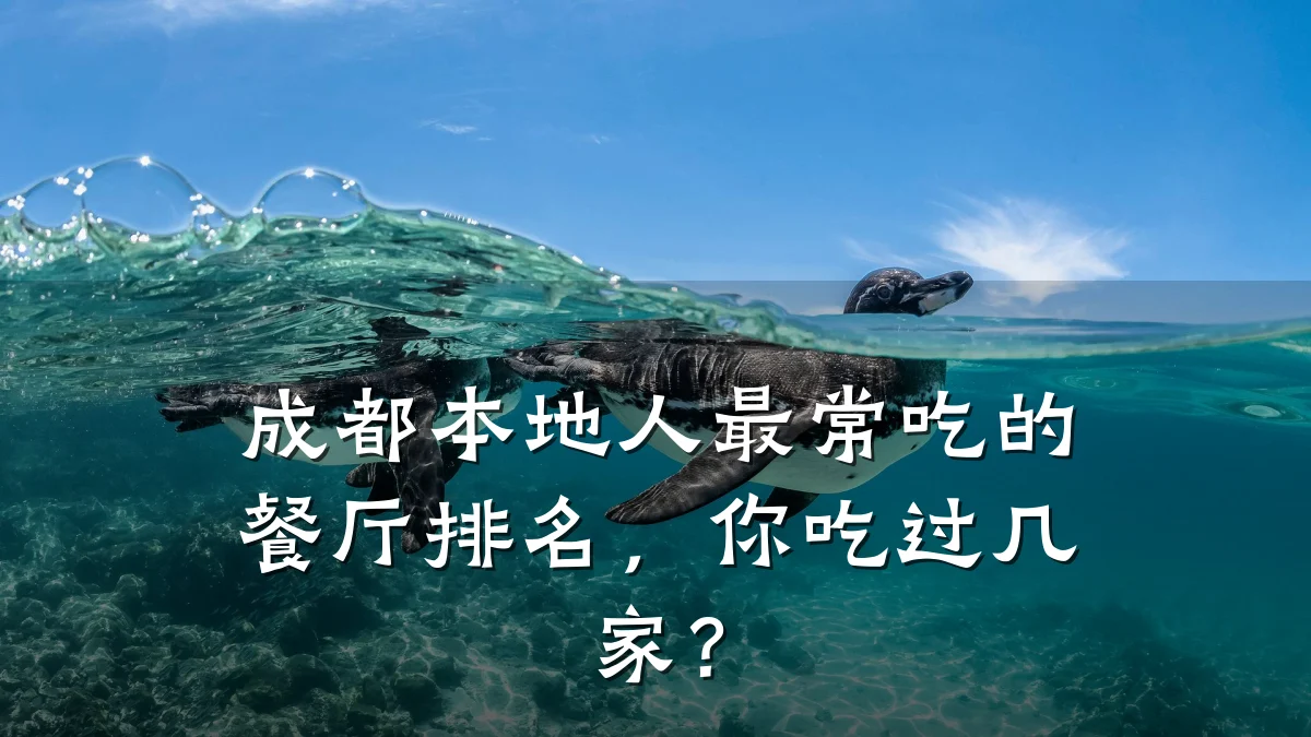 成都本地人最常吃的餐厅排名，你吃过几家？