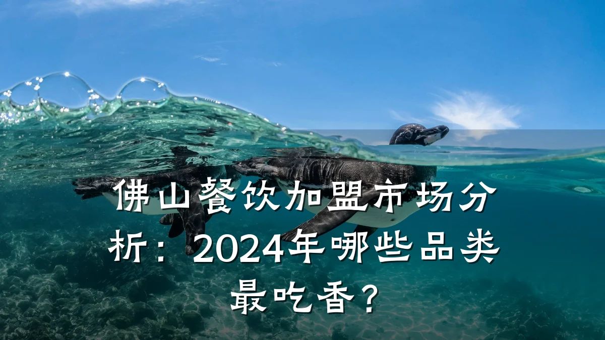 佛山餐饮加盟市场分析：2024年哪些品类最吃香？