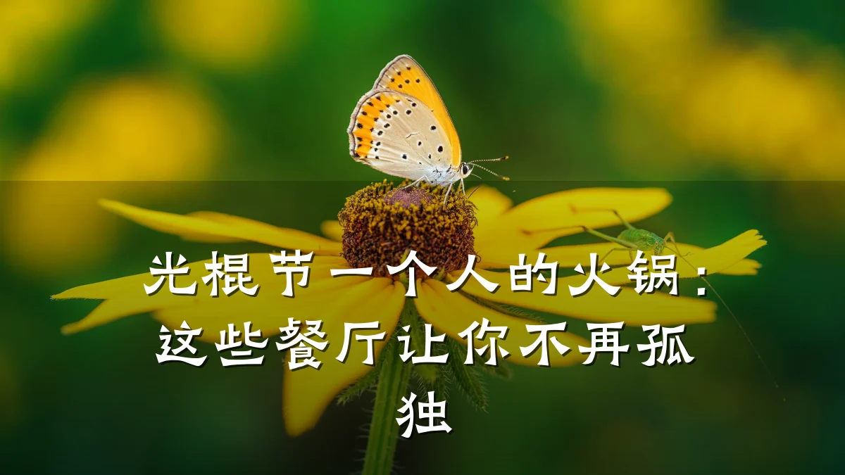 光棍节一个人的火锅：这些餐厅让你不再孤独