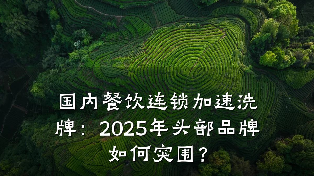 国内餐饮连锁加速洗牌：2025年头部品牌如何突围？