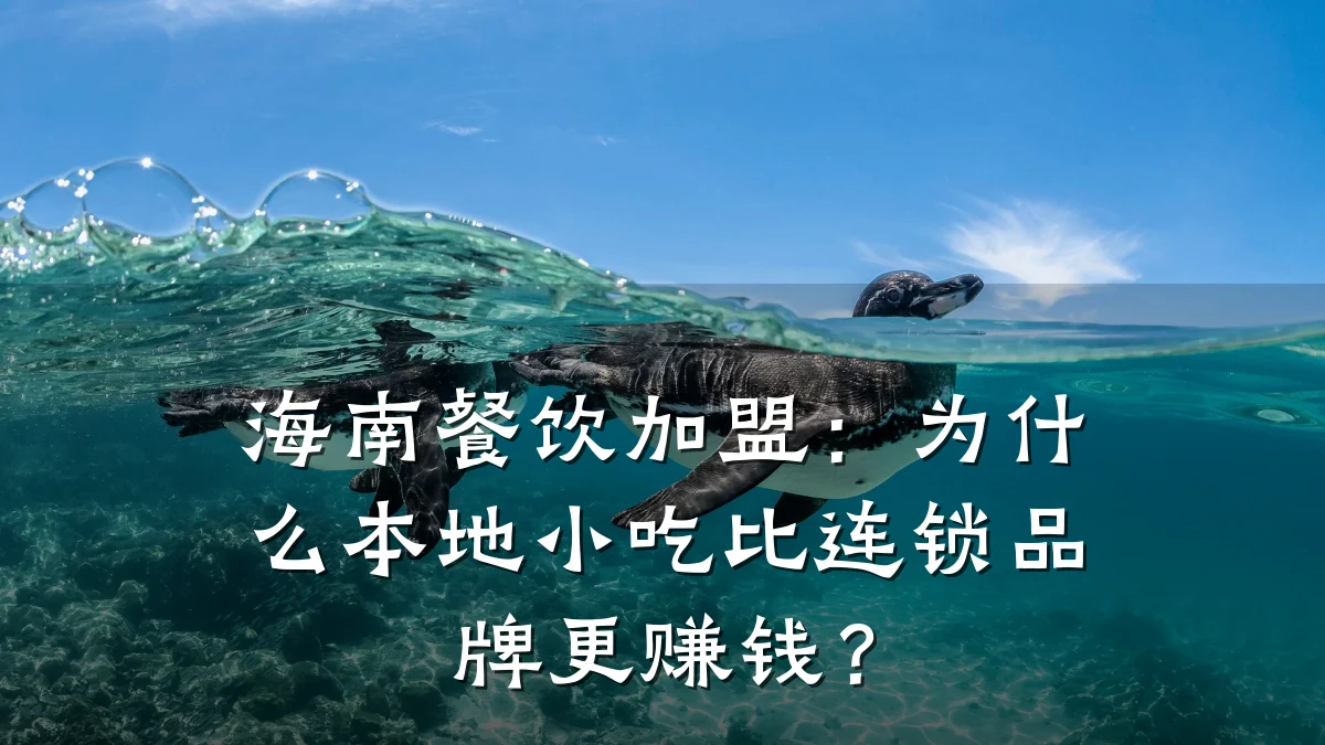 海南餐饮加盟：为什么本地小吃比连锁品牌更赚钱？