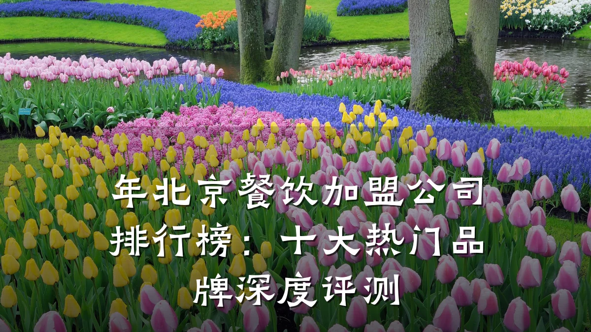 年北京餐饮加盟公司排行榜：十大热门品牌深度评测