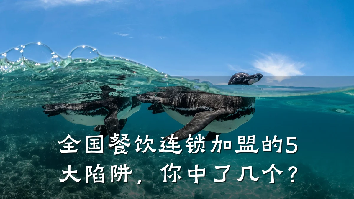 全国餐饮连锁加盟的5大陷阱，你中了几个？