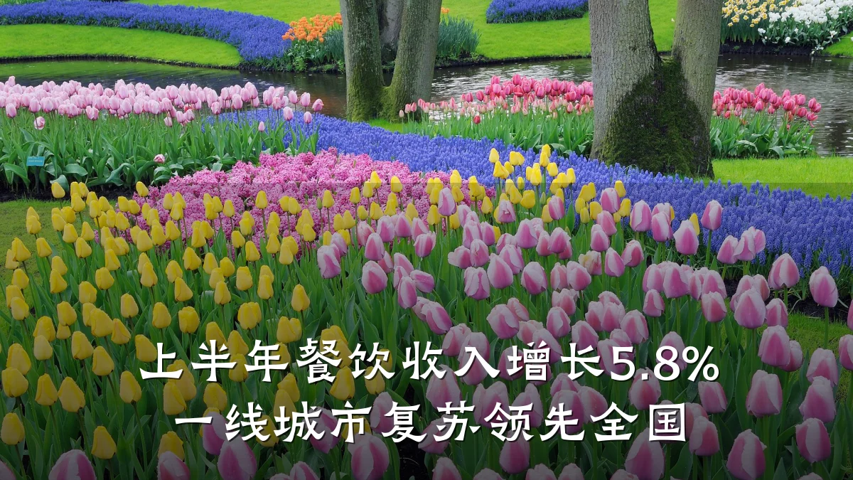 上半年餐饮收入增长5.8% 一线城市复苏领先全国