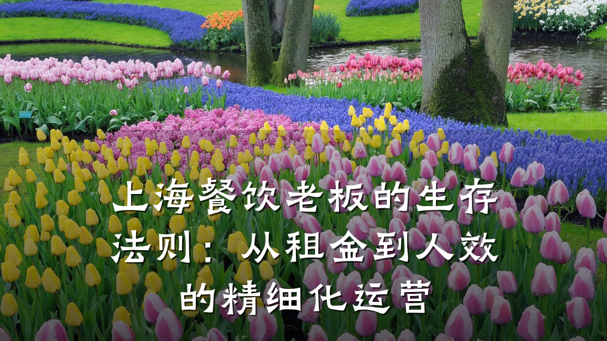 上海餐饮老板的生存法则：从租金到人效的精细化运营
