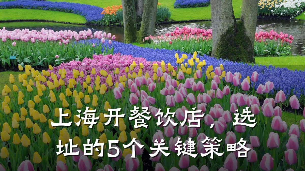 上海开餐饮店，选址的5个关键策略