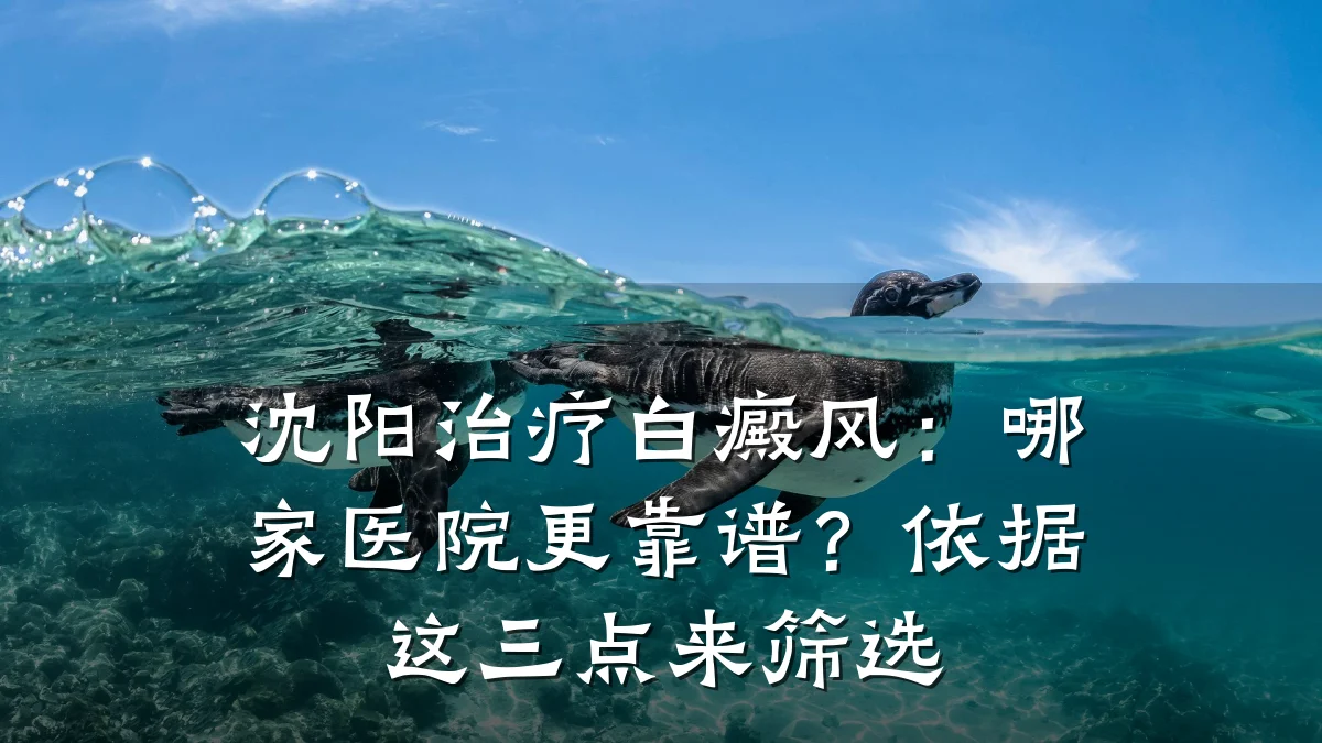 沈阳治疗白癜风:哪家医院更靠谱?依据这三点来筛选