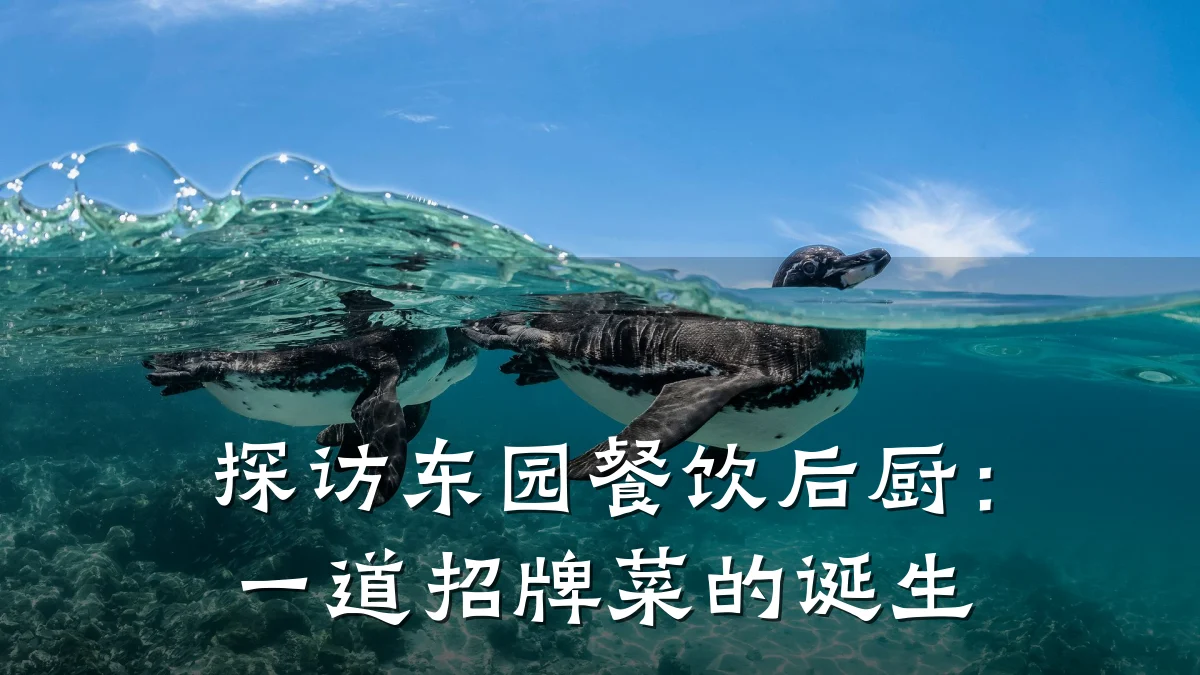 探访东园餐饮后厨：一道招牌菜的诞生
