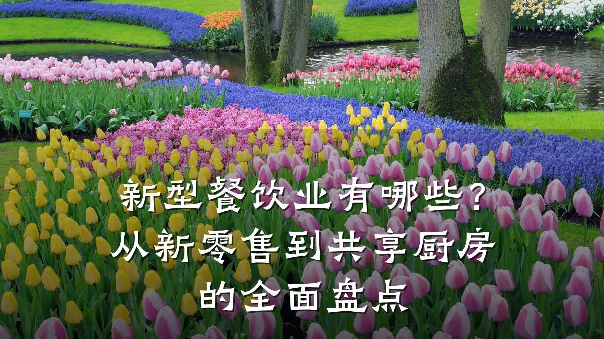 新型餐饮业有哪些？从新零售到共享厨房的全面盘点