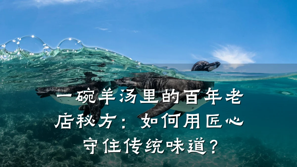一碗羊汤里的百年老店秘方：如何用匠心守住传统味道？