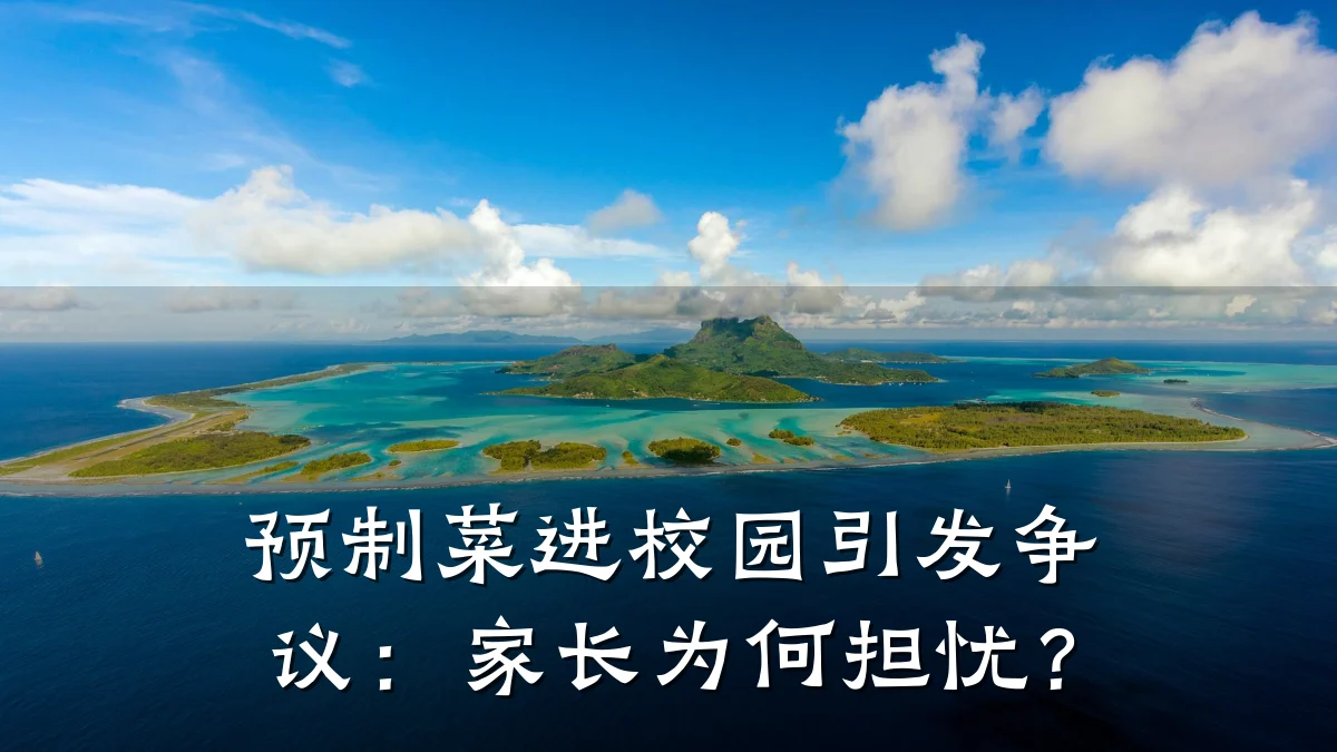 预制菜进校园引发争议:家长为何担忧?