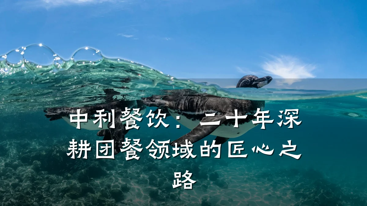 中利餐饮：二十年深耕团餐领域的匠心之路