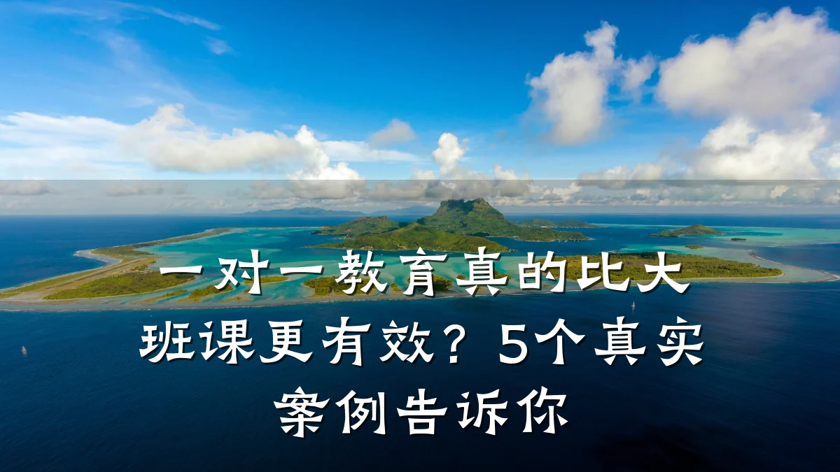 一对一教育真的比大班课更有效？5个真实案例告诉你