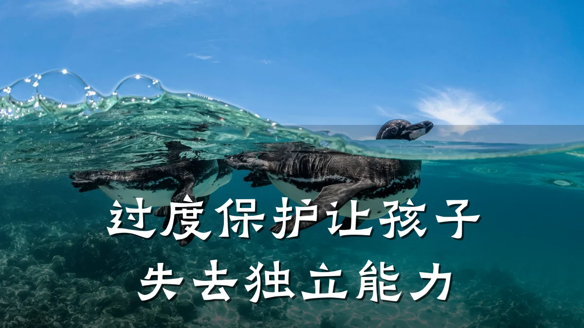 过度保护让孩子失去独立能力
