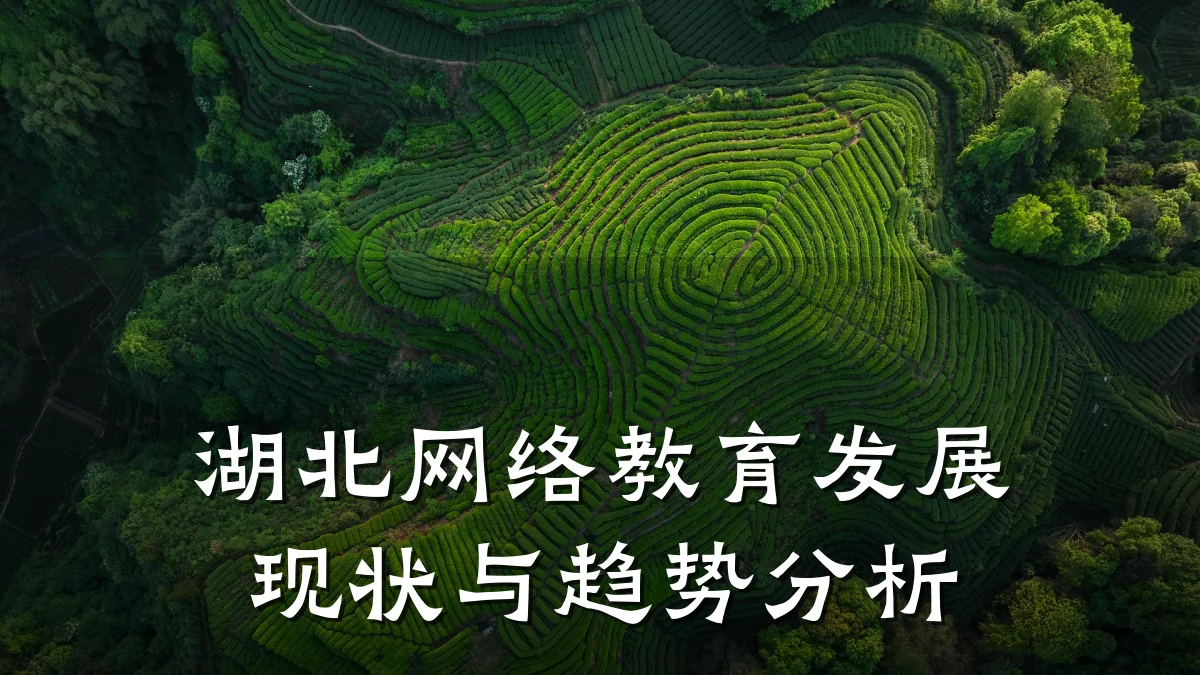 湖北网络教育发展现状与趋势分析